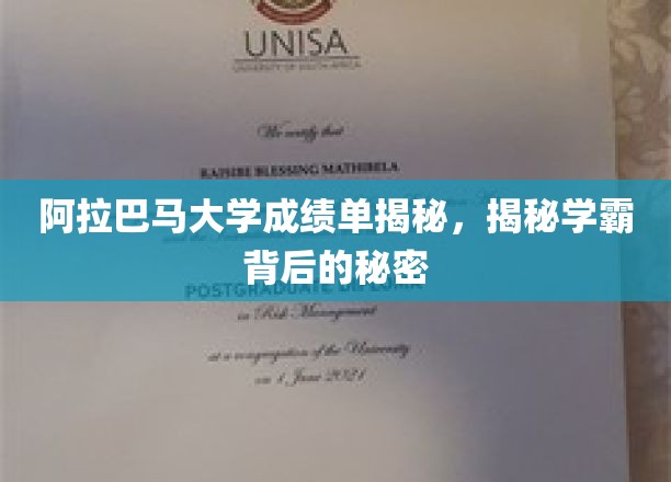 探寻阿拉巴马大学学霸养成记，揭秘成绩单背后的秘密宝藏