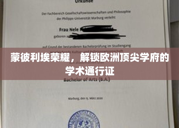 蒙彼利埃荣耀，解锁欧洲顶尖学府的学术通行证