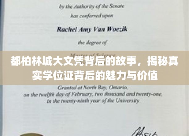 探寻都柏林城文凭的奥秘，揭秘学位证的独特魅力与深远价值