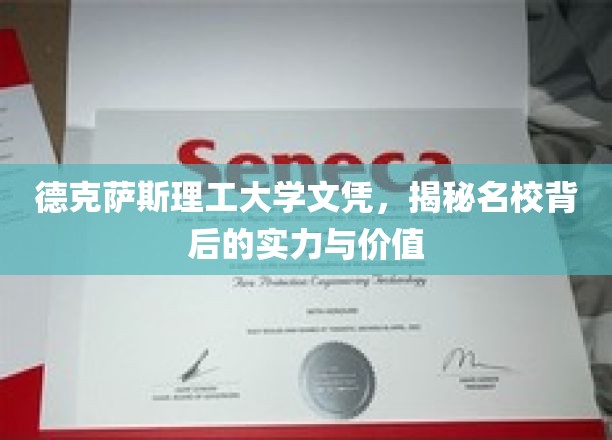 解码德克萨斯理工大学，名校光环下的教育实力与深远价值