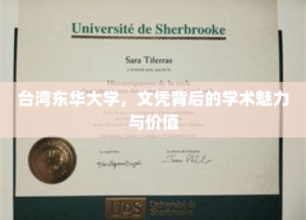探索台湾东华大学，文凭背后的学术瑰宝与独特魅力