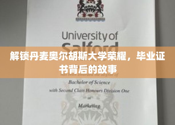 解锁丹麦奥尔胡斯大学荣耀，毕业证书背后的故事