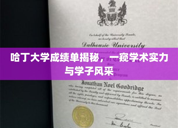 解码哈丁大学成绩单，探寻学子卓越风采与学术底蕴