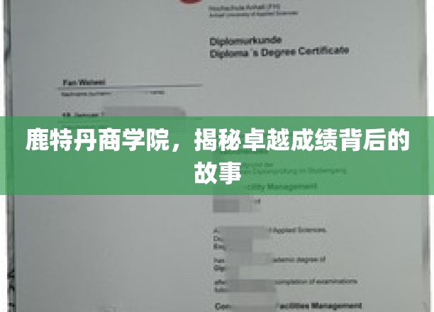 解码鹿特丹商学院，卓越成就背后的非凡历程