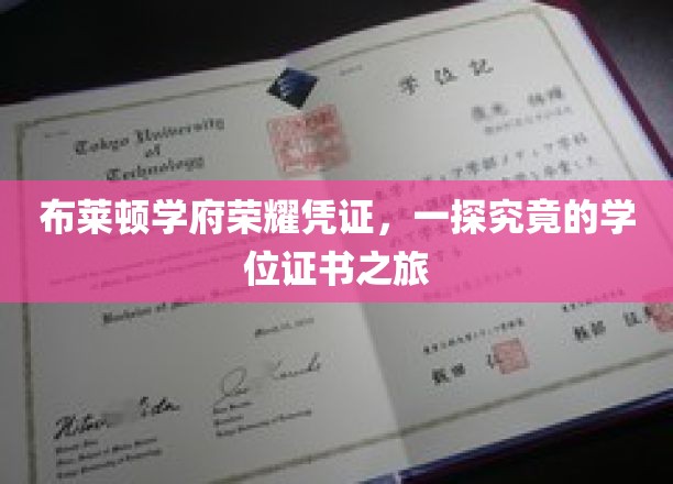 解码布莱顿学府荣耀，学位证书背后的神秘之旅