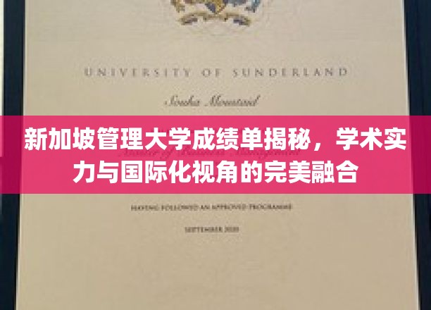 新加坡管理大学成绩单揭秘，学术实力与国际化视角的完美融合