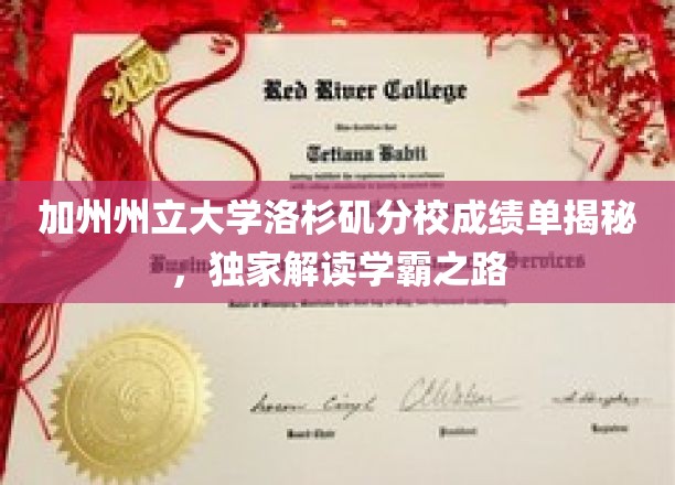 加州州立大学洛杉矶分校成绩单揭秘，独家解读学霸之路