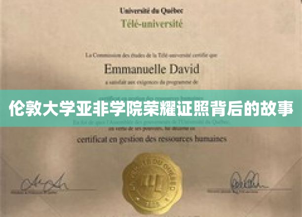 伦敦亚非学院荣耀证照，揭秘学子们的奋斗传奇