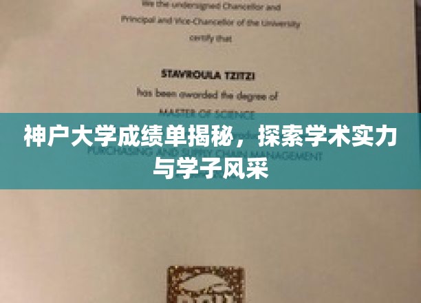 解码神户大学，成绩单背后的学术魅力与学子风采展