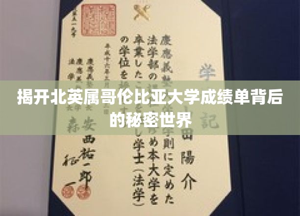 探寻北英属哥伦比亚大学成绩单背后的神秘面纱