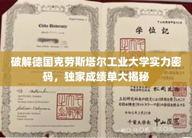 破解德国克劳斯塔尔工业大学实力密码，独家成绩单大揭秘