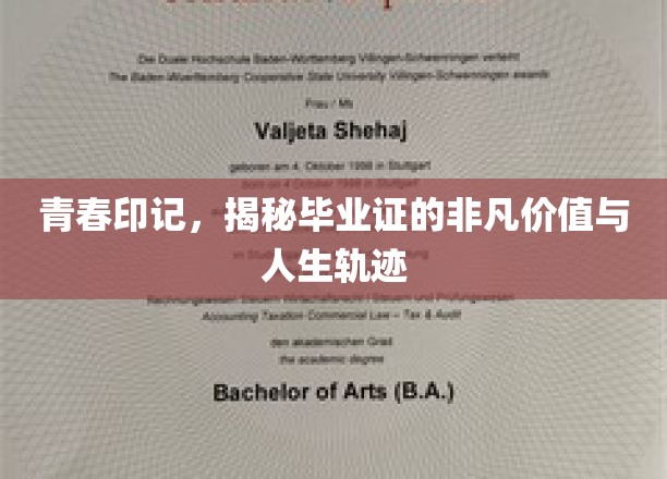 毕业证的力量，见证青春轨迹，解锁人生新篇章