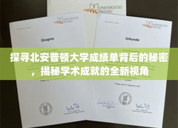 解码北安普顿大学成绩单，一窥学术成就的隐藏故事