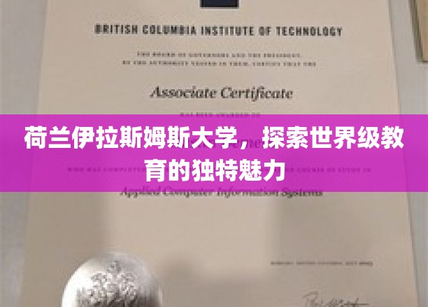 解码荷兰伊拉斯姆斯大学，全球教育前沿的璀璨明珠