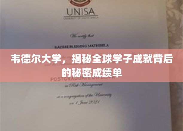 韦德尔大学，揭秘全球学子成就背后的秘密成绩单
