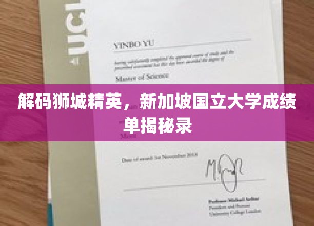 解码狮城智慧殿堂，新加坡国立大学成绩单背后的故事揭晓