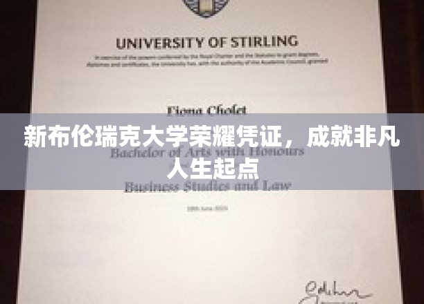 开启非凡之旅，新布伦瑞克大学荣耀证书助力人生新篇章
