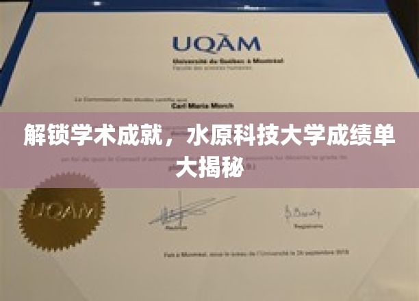 解锁学术成就，水原科技大学成绩单大揭秘