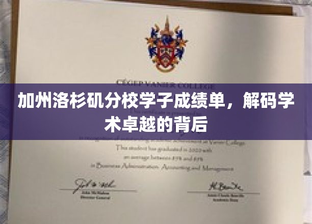 揭秘加州洛分校卓越学子的成绩单，探寻学术辉煌的奥秘