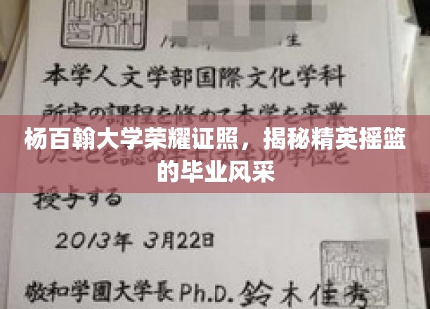 杨百翰大学荣耀证照，展现精英摇篮的毕业风采