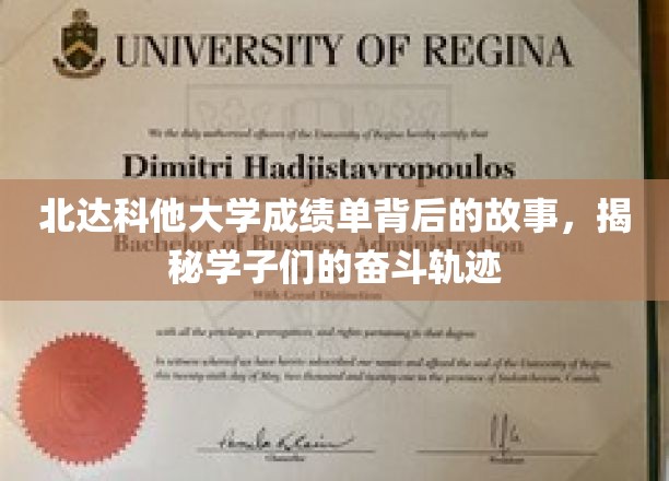 北达科他大学成绩单背后的故事，揭示学子们的奋斗轨迹