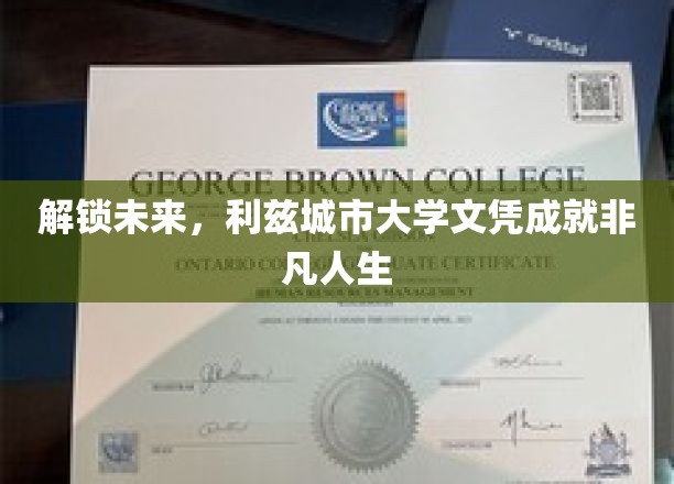 解锁未来，利兹城市大学文凭成就非凡人生