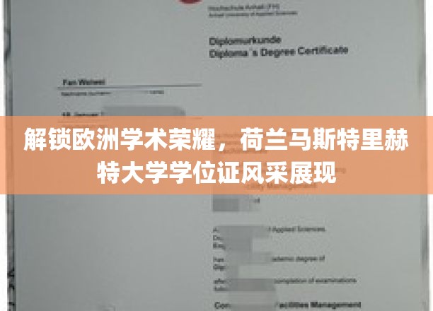 荷兰马斯特里赫特大学学位证风采展现，解锁欧洲学术荣耀