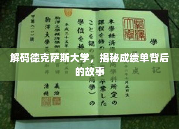 德克萨斯大学成绩单，探寻隐藏的学术传奇