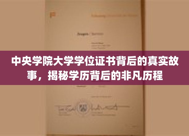 中央学院大学证书背后的传奇，探寻学历背后的不凡足迹