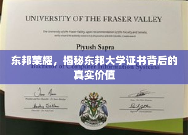 东邦荣耀，揭秘东邦大学证书背后的真实价值