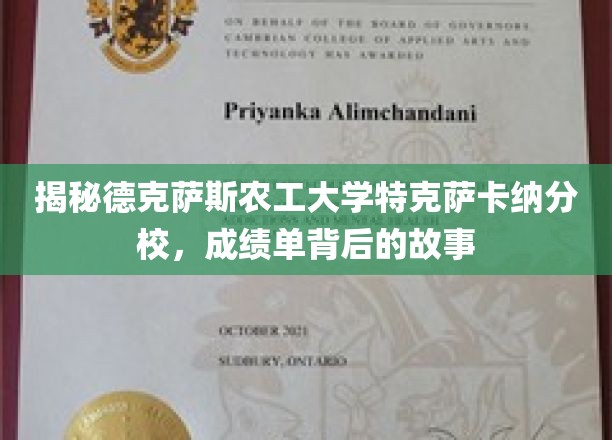 德克萨斯农工大学特克萨卡纳分校，揭秘成绩单背后的传奇之路