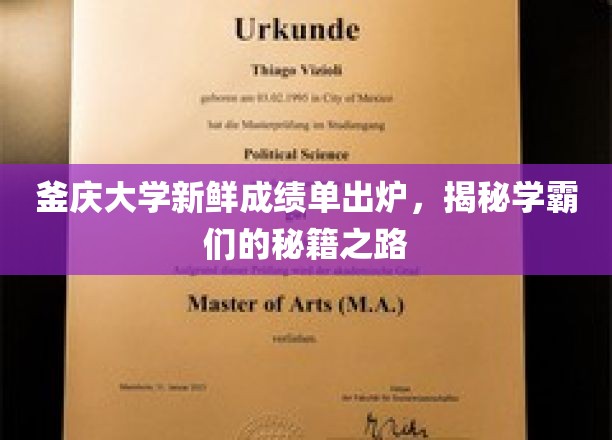 釜庆学霸风云录，揭秘高分背后的独家秘笈