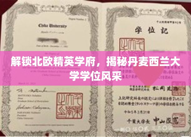 探索丹麦西兰大学的学位魅力，北欧教育精英的摇篮