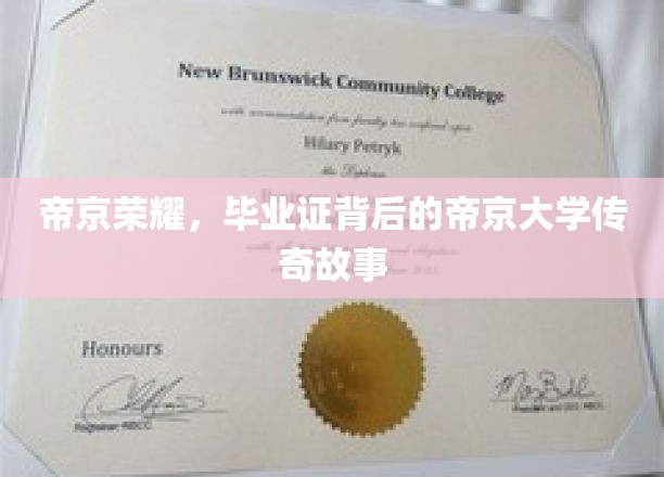 帝京风云录，揭秘毕业证背后的传奇学府秘闻