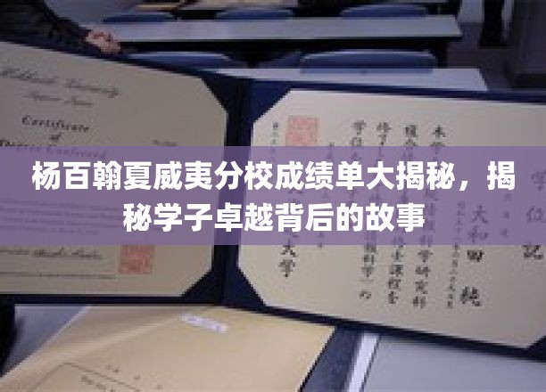 杨百翰夏威夷分校成绩单大揭秘，探寻学子卓越背后的故事