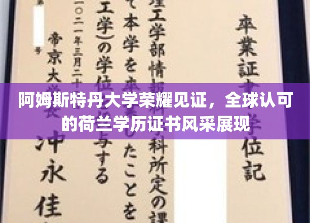 荷兰学历全球认可，阿姆斯特丹大学成就证书展风采