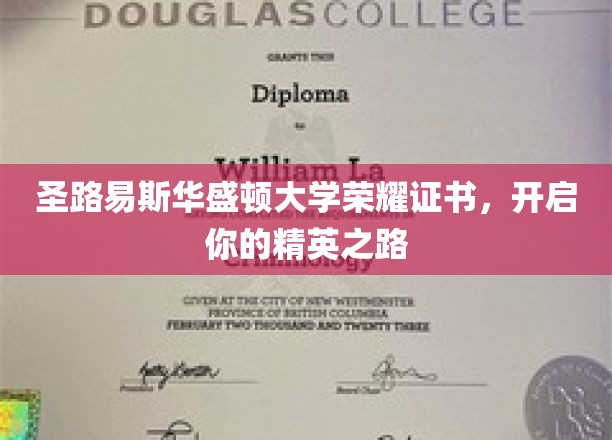 圣路易斯华盛顿大学荣耀证书，引领你的卓越之路