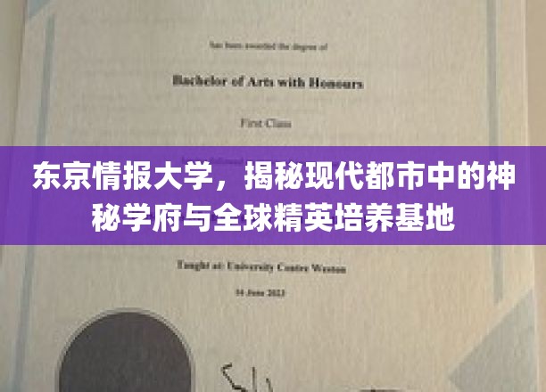 解码东京，都市精英摇篮的秘密学院