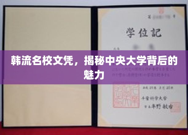 解码韩流名校，中央大学魅力背后的文凭之谜