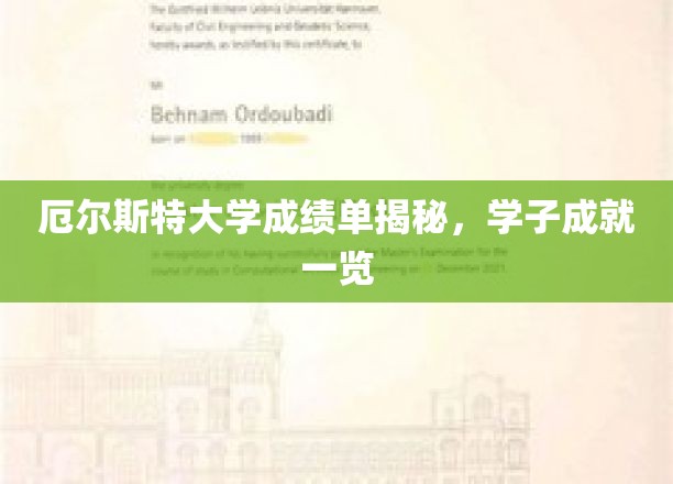 厄尔斯特大学成绩单揭秘，学子成就一览