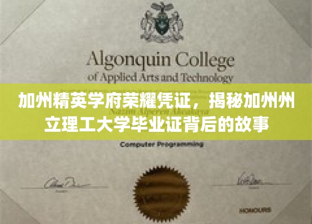 加州理工骄子荣耀见证，毕业证背后的传奇之路