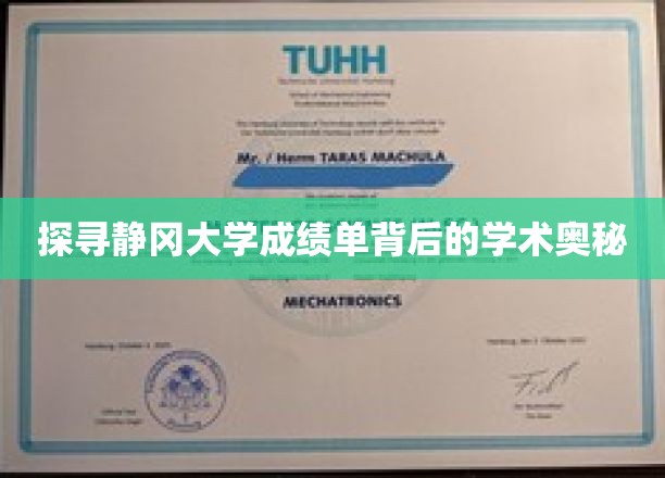 解码静冈大学成绩单，揭秘学术成就的神秘面纱
