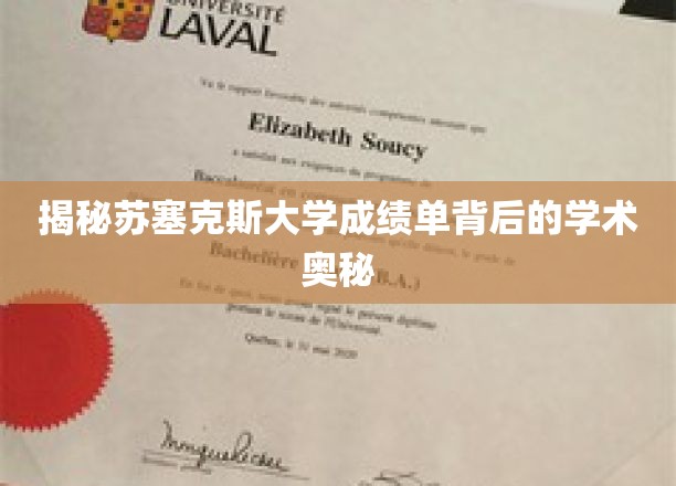 一探苏塞克斯大学成绩单背后的学术奥秘