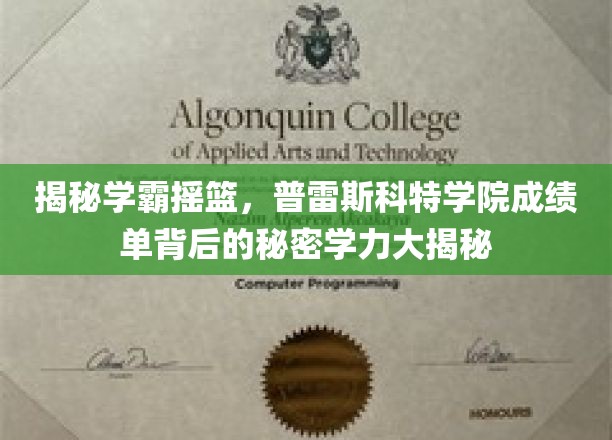 探寻普雷斯科特学院卓越背后的学术秘籍，揭秘学霸养成之道