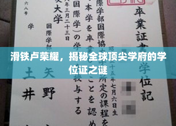 学位证背后的传奇，揭秘世界名校的荣耀之路