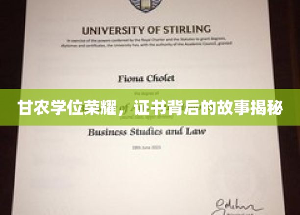 甘农荣耀证书背后的传奇故事，揭秘学子成就之路