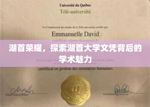湖首传奇，解码湖首大学学位的学术风采