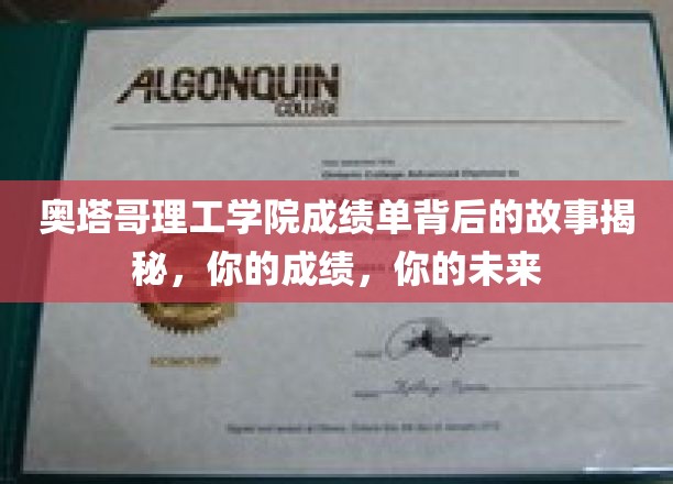 解码奥塔哥理工学院成绩单，揭秘你的未来之路