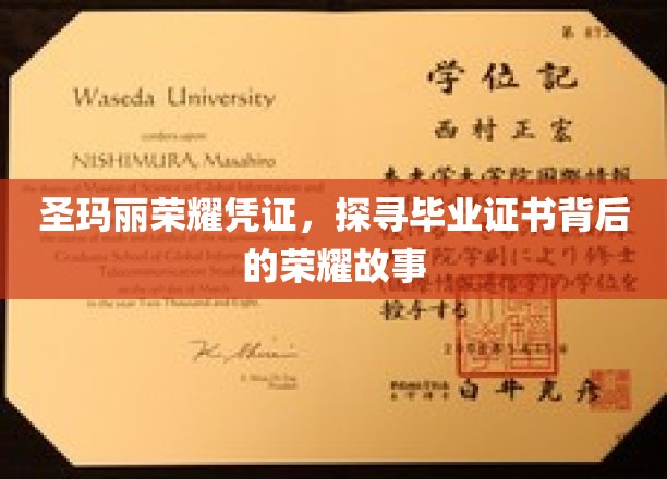 圣玛丽荣耀凭证揭秘，一纸证书背后的辉煌传奇