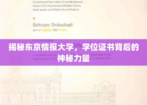 东京情报大学学位之谜，揭秘现代情报领域的隐藏价值